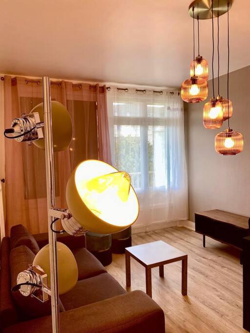 Bel Appartement Centre Ville De Vierzon Bagian luar foto